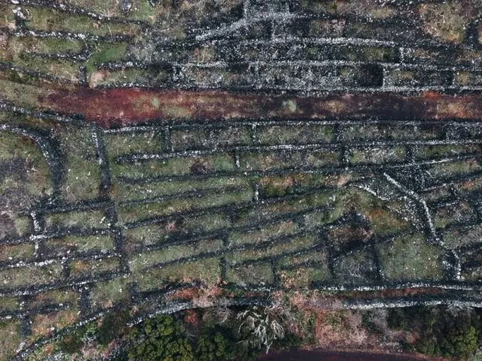 Framed Print : Drone view of Vineyard Landscape of Pico, the Azores Framed Print : Drone view of Vineyard Landscape of Pico, the Azores