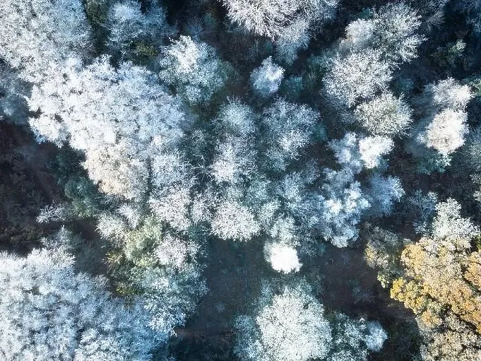 Framed Print : Drone top down view of a winter forest setting. Notice the heavy frost on the trees Framed Print : Drone top down view of a winter forest setting. Notice the heavy frost on the trees