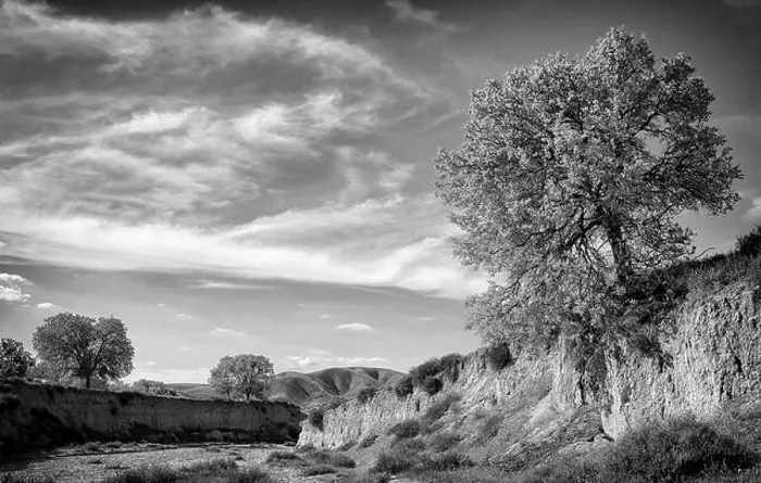 Framed Print : Dry river bed and oak trees, California Central Coast near Paso Robles Framed Print : Dry river bed and oak trees, California Central Coast near Paso Robles