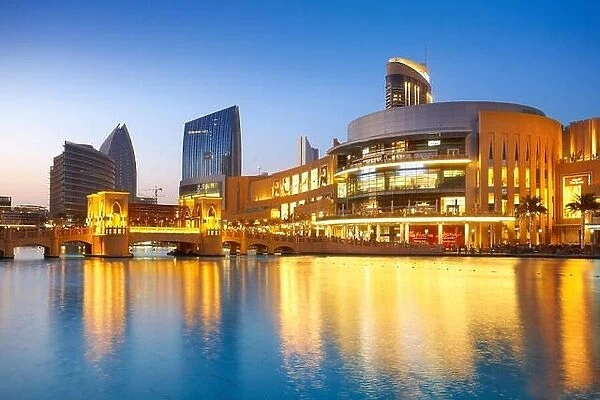 Dubai city - Dubai Mall, United Arab Emirates