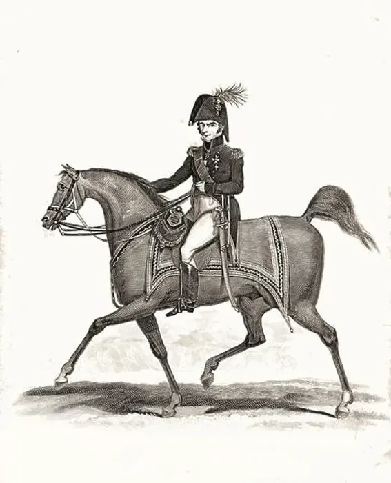 Framed Print : Duke of Wellington Framed Print : Duke of Wellington