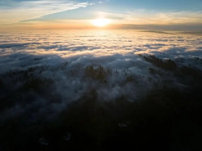 Framed Print : As dusk begins to fall, dense fog rolls over a forest of cedar and fir trees covering the many hills surrounding Portland, Oregon Framed Print : As dusk begins to fall, dense fog rolls over a forest of cedar and fir trees covering the many hills surrounding Portland, Oregon