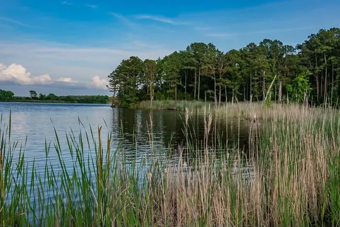 Framed Print : Early Evening at Blackwater National Wildlife Refuge, Maryland USA