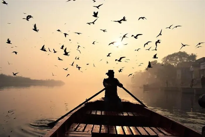 Framed Print : An early morning view of Yamuna Ghaat full of birds Framed Print : An early morning view of Yamuna Ghaat full of birds