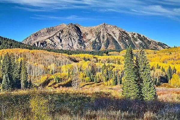 East Beckwith Mountain near Kebler Pass, Gunnison National Forest, West Elk Mountains, Colorado, USA