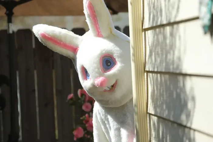 Framed Print : Easter bunny peeks out from behind house Framed Print : Easter bunny peeks out from behind house