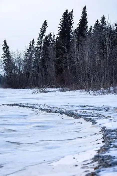 Framed Print : Edge of a frozen river covered in snow witb trees in the background on a cloudy winter day in interior Alaska