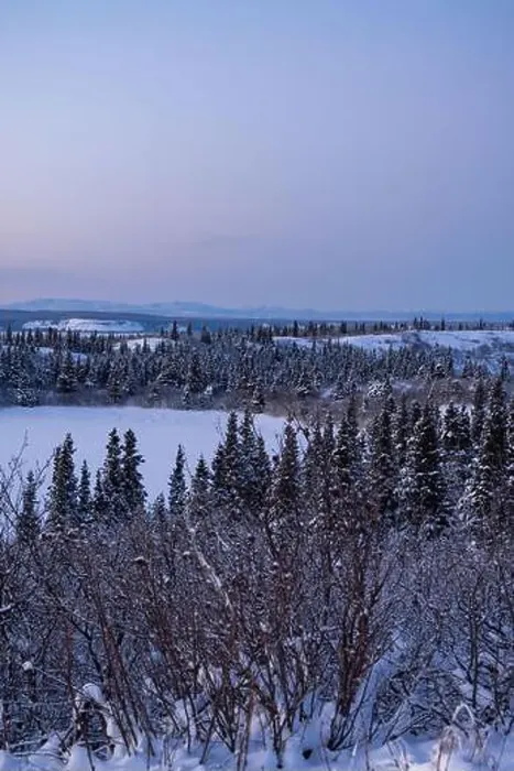 Framed Print : Edge of icy lake under pink sky on a winter evening near Delta Junction, Alaska Framed Print : Edge of icy lake under pink sky on a winter evening near Delta Junction, Alaska