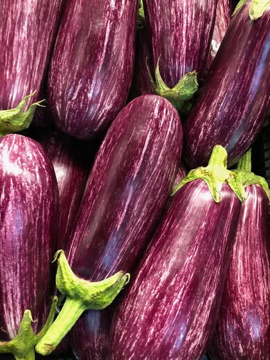 Framed Print : Eggplants at a market stall Framed Print : Eggplants at a market stall