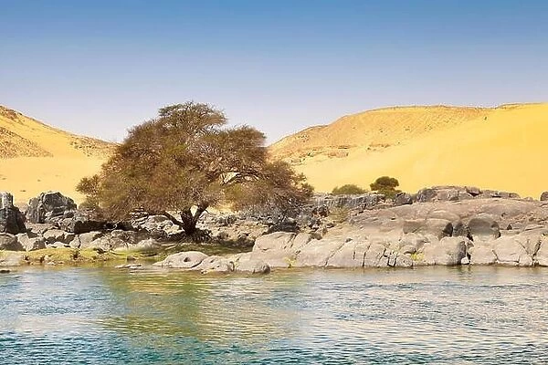 Egypt - bank of the Nile River, protected area of the First Cataract