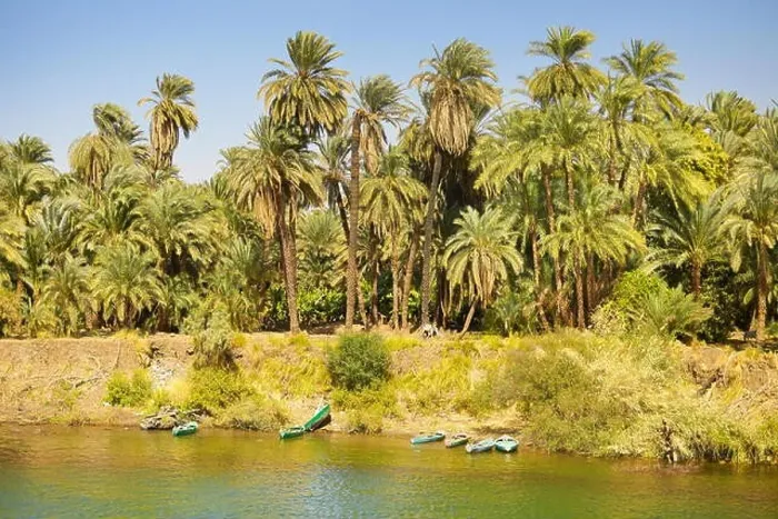 Framed Print : Egypt - bank of the Nile, riverside landscape of the valley of Nile, road to Aswan town, Egypt Framed Print : Egypt - bank of the Nile, riverside landscape of the valley of Nile, road to Aswan town, Egypt