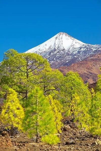 El Teide Mount, Tenerife, Canary Islands, Spain