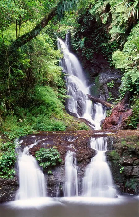Framed Print : Elabana Falls Lamington National Park Queensland Australia Framed Print : Elabana Falls Lamington National Park Queensland Australia