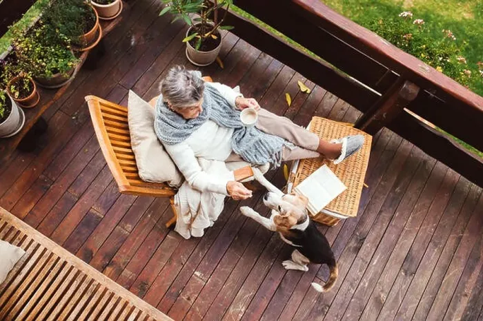 Framed Print : An elderly woman with a dog sitting outdoors on a terrace on a sunny day in autumn Framed Print : An elderly woman with a dog sitting outdoors on a terrace on a sunny day in autumn