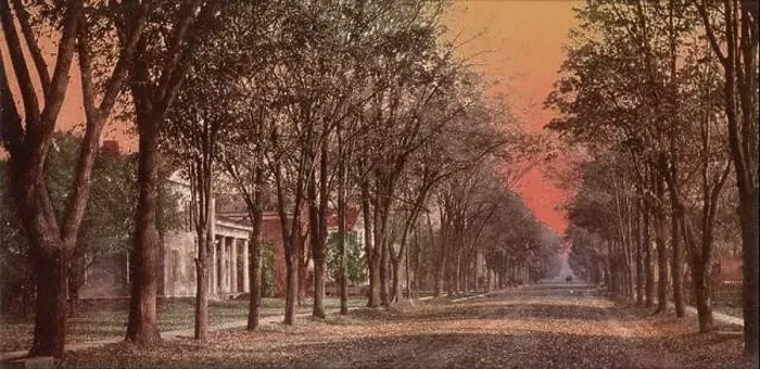 Framed Print : Elizabeth Street, Dansville, Livingston County, New York 1900 Framed Print : Elizabeth Street, Dansville, Livingston County, New York 1900