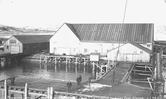 Framed Print : English: Pacific American Fisheries cannery at King Cove, ca. 1910. English: Caption on image: Kings Cove Framed Print : English: Pacific American Fisheries cannery at King Cove, ca. 1910. English: Caption on image: Kings Cove