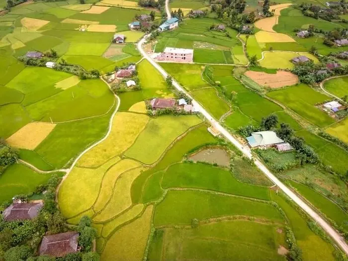Framed Print : Enjoy a panoramic view of ripe rice fields from above in Cao Bang province, Vietnam Framed Print : Enjoy a panoramic view of ripe rice fields from above in Cao Bang province, Vietnam