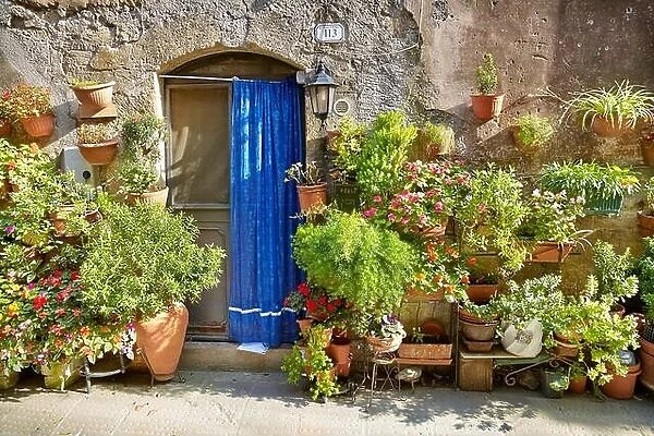 Entrance decorated with flowers, Pitigliano, Tuscany, Italy