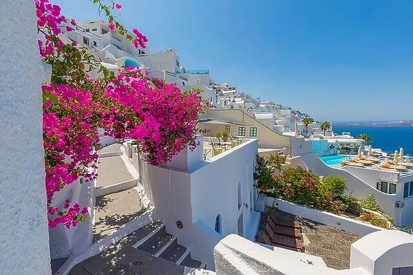 Europe Greece Santorini travel vacation. Looking at scenic view on famous travel destination. Romantic blue door with pink flowers, idyllic nature