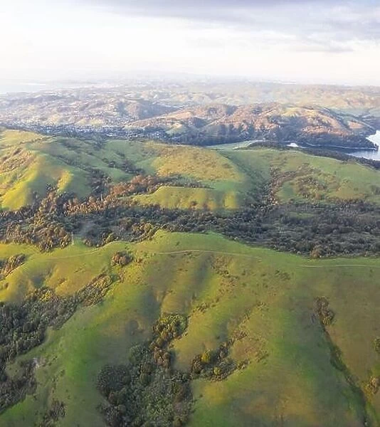 Evening sunlight shines on the green hills of the East Bay in Northern California. This area, east of San Francisco Bay, is green in the winter