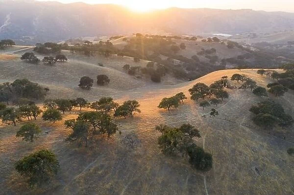 Evening sunlight shines on the rolling hills in Northern California. These beautiful, golden hills turn green once winter brings seasonal rains