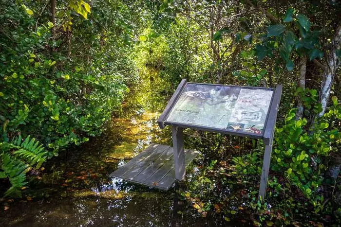 Framed Print : The Everglades National Park, Florida, United States Framed Print : The Everglades National Park, Florida, United States