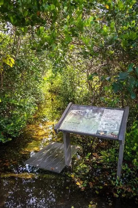 Framed Print : The Everglades National Park, Florida, United States Framed Print : The Everglades National Park, Florida, United States