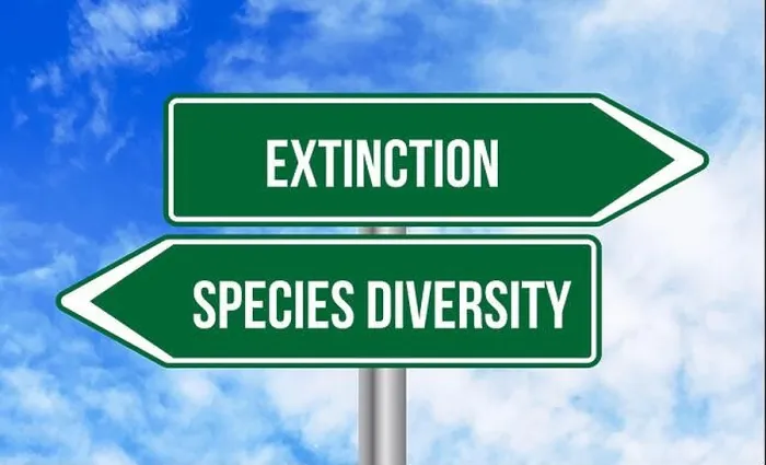 Framed Print : Extinction or species diversity road sign on blue sky background Framed Print : Extinction or species diversity road sign on blue sky background