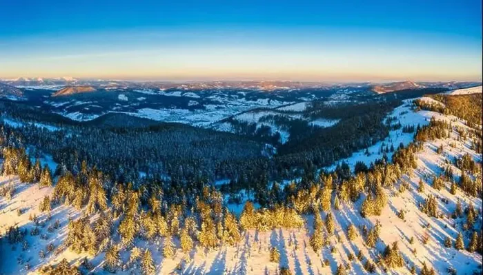 Framed Print : Fabulous snow-covered panorama of spruce trees Framed Print : Fabulous snow-covered panorama of spruce trees