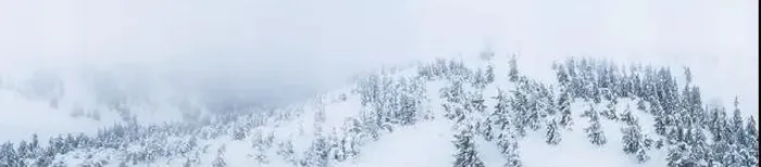 Framed Print : Fabulous snow-covered panorama of spruce trees growing on the mountain slopes in winter in cloudy foggy weather