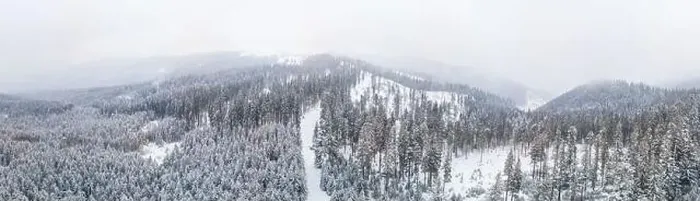 Framed Print : Fabulous snow-covered panorama of spruce trees growing on the mountain slopes in winter in cloudy foggy weather Framed Print : Fabulous snow-covered panorama of spruce trees growing on the mountain slopes in winter in cloudy foggy weather