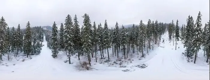 Framed Print : Fabulous snow-covered panorama of spruce trees growing on the mountain slopes in winter in cloudy foggy weather Framed Print : Fabulous snow-covered panorama of spruce trees growing on the mountain slopes in winter in cloudy foggy weather