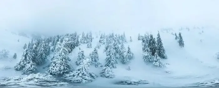 Framed Print : Fabulous snow-covered panorama of spruce trees growing on the mountain slopes in winter in cloudy foggy weather Framed Print : Fabulous snow-covered panorama of spruce trees growing on the mountain slopes in winter in cloudy foggy weather