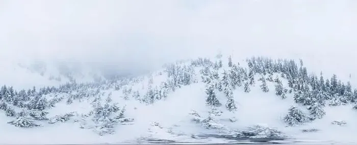 Framed Print : Fabulous snow-covered panorama of spruce trees growing on the mountain slopes in winter in cloudy foggy weather Framed Print : Fabulous snow-covered panorama of spruce trees growing on the mountain slopes in winter in cloudy foggy weather