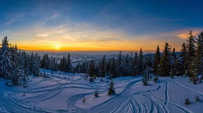 Framed Print : Fabulous snow-covered panorama of spruce trees growing on the mountain slopes in winter in cloudy foggy weather