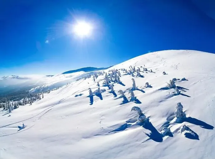 Framed Print : Fabulous view of the sunny winter slope with snowy trees located in the ski resort Framed Print : Fabulous view of the sunny winter slope with snowy trees located in the ski resort