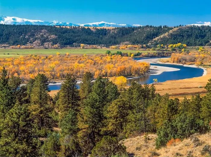 Framed Print : fall colors along the yellowstone river and distant beartooth mountains near columbus, montana Framed Print : fall colors along the yellowstone river and distant beartooth mountains near columbus, montana