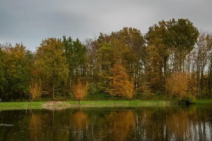 Framed Print : Fall colour reflected in the still waters of a lake near Urk Netherlands Framed Print : Fall colour reflected in the still waters of a lake near Urk Netherlands