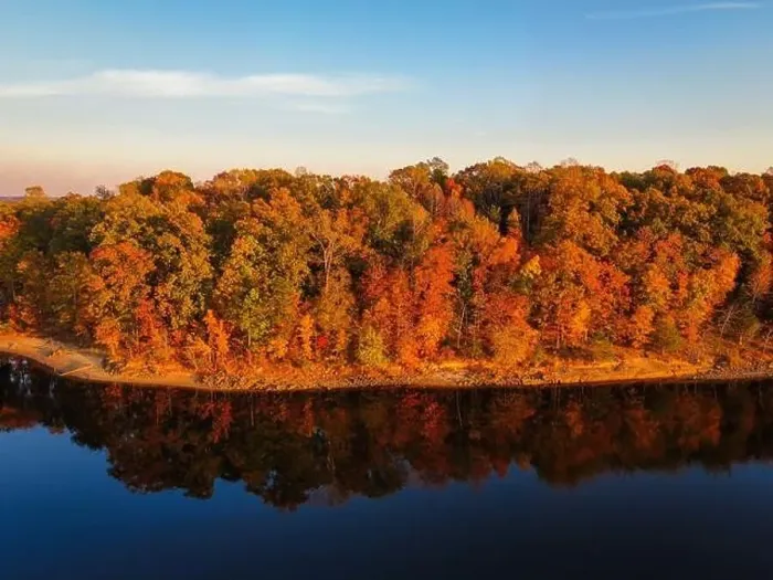 Framed Print : Fall Foliage at Falls Lake, Raleigh NC - Drone Framed Print : Fall Foliage at Falls Lake, Raleigh NC - Drone