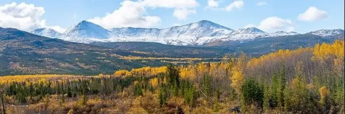 Framed Print : Fall panoramic landscape in northern Canada during autumn with bright yellow covering the arctic Yukon Territory scenic Framed Print : Fall panoramic landscape in northern Canada during autumn with bright yellow covering the arctic Yukon Territory scenic