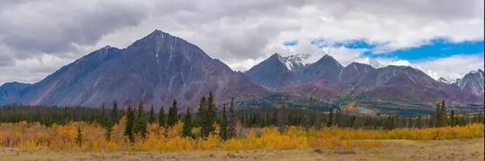 Framed Print : Fall panoramic landscape in northern Canada during autumn with bright yellow covering the arctic Yukon Territory scenic Framed Print : Fall panoramic landscape in northern Canada during autumn with bright yellow covering the arctic Yukon Territory scenic