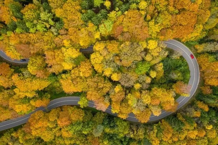Framed Print : Fantastic autumn - colorful treetops with a significant red car driving through a double curve of a serpentine street