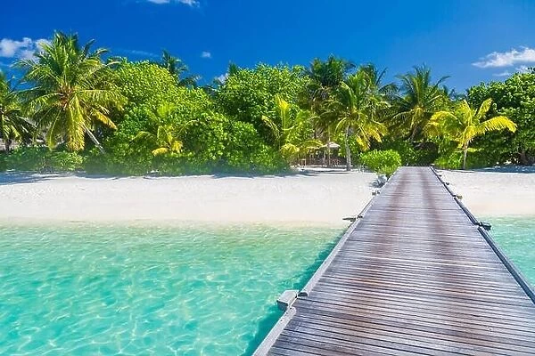 Fantastic beach scene in Maldives island. Palm trees and blue tree with wooden jetty. Luxury vacation and holiday destination. Exotic beach background