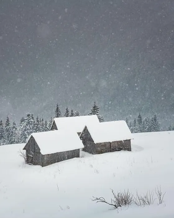 Framed Print : Fantastic landscape with snowy mountains, trees and houses. Carpathian mountains, Ukraine, Europe Framed Print : Fantastic landscape with snowy mountains, trees and houses. Carpathian mountains, Ukraine, Europe