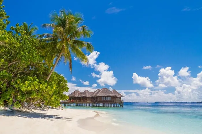 Framed Print : Fantastic Maldives beach background. Beautiful white sand beach and palm trees under blue sky. Luxury travel and vacation concept Framed Print : Fantastic Maldives beach background. Beautiful white sand beach and palm trees under blue sky. Luxury travel and vacation concept