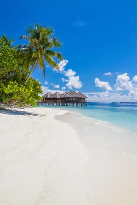 Framed Print : Fantastic Maldives beach background. Beautiful white sand beach and palm trees under blue sky. Luxury travel and vacation concept Framed Print : Fantastic Maldives beach background. Beautiful white sand beach and palm trees under blue sky. Luxury travel and vacation concept