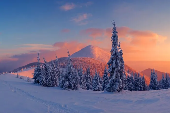 Framed Print : Fantastic orange evening landscape glowing by sunlight. Dramatic wintry scene with snowy trees. Carpathians, Ukraine, Europe. Me Framed Print : Fantastic orange evening landscape glowing by sunlight. Dramatic wintry scene with snowy trees. Carpathians, Ukraine, Europe. Me