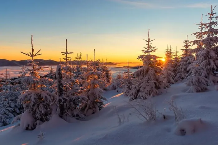 Framed Print : Fantastic orange evening landscape glowing by sunlight. Dramatic wintry scene with snowy trees. Carpathians, Ukraine, Europe. Merry Christmas! Framed Print : Fantastic orange evening landscape glowing by sunlight. Dramatic wintry scene with snowy trees. Carpathians, Ukraine, Europe. Merry Christmas!