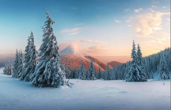 Fantastic orange sunset in snowy mountains. Picturesque winter scene with snowy trees and glowing mountain peak