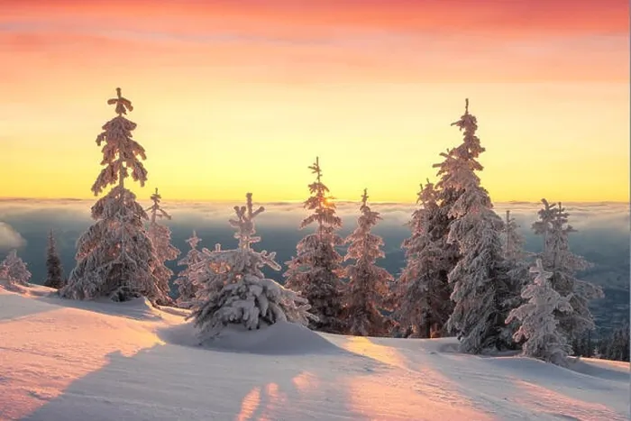 Framed Print : Fantastic orange winter landscape in snowy mountains glowing by sunlight. Dramatic wintry scene with snowy trees. Christmas holiday background Framed Print : Fantastic orange winter landscape in snowy mountains glowing by sunlight. Dramatic wintry scene with snowy trees. Christmas holiday background